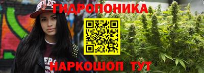 стафф Ипатово